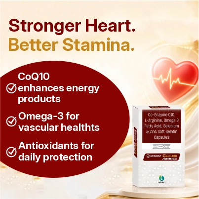 Product Highlight 3