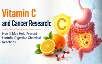 Vitamin C and Cancer Research: How It May Help Prevent Harmful Digestive Chemical Reactions