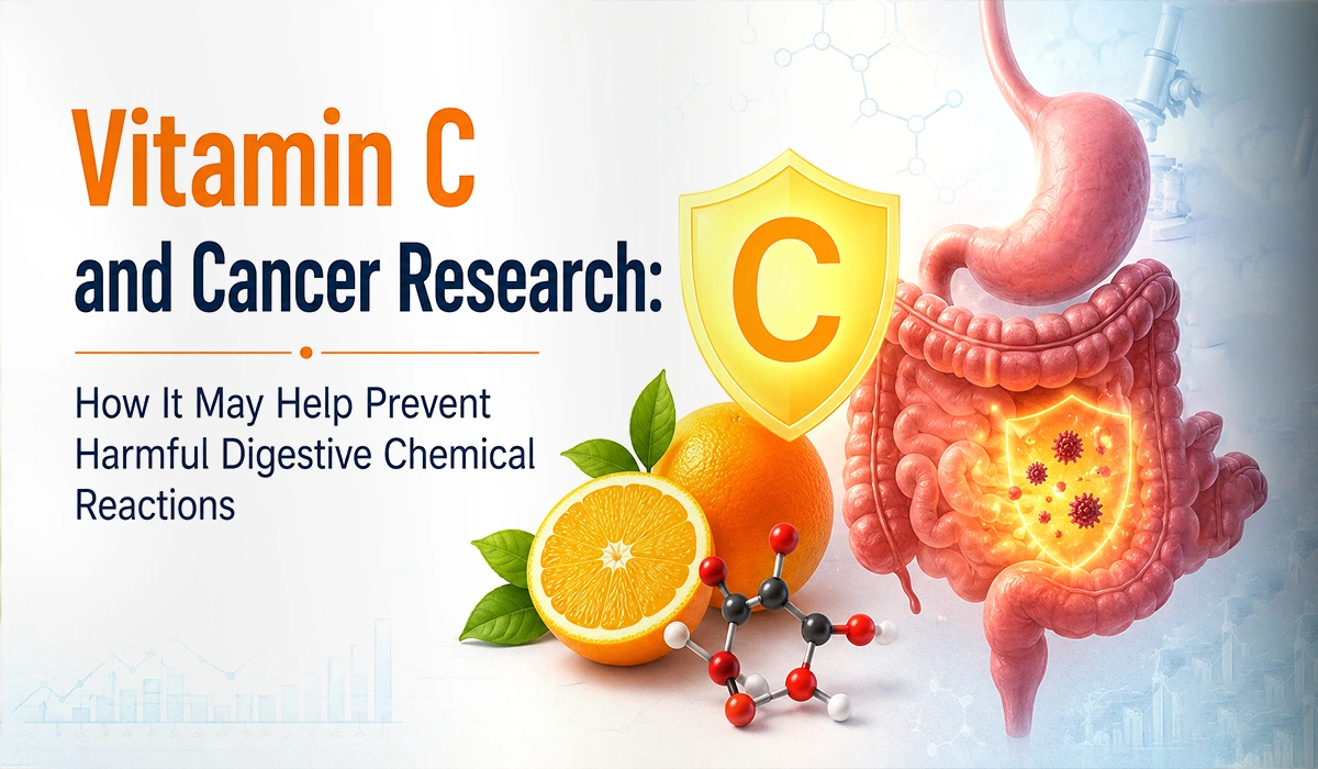 Vitamin C and Cancer Research: How It May Help Prevent Harmful Digestive Chemical Reactions
