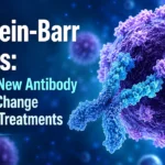 Epstein-Barr Virus: How a New Antibody Could Change Future Treatments