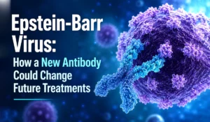 Epstein-Barr Virus: How a New Antibody Could Change Future Treatments