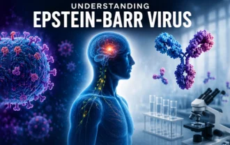 Understanding Epstein-Barr Virus and the Promise of New Antibody Research
