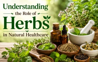 Understanding the Role of Herbs in Natural Healthcare