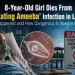 8-Year-Old Girl Dies From ‘Brain-Eating Amoeba’ in Louisiana: What Happened and How Dangerous Is Naegleria fowleri?