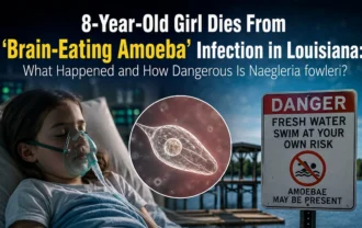 8-Year-Old Girl Dies From ‘Brain-Eating Amoeba’ in Louisiana: What Happened and How Dangerous Is Naegleria fowleri?
