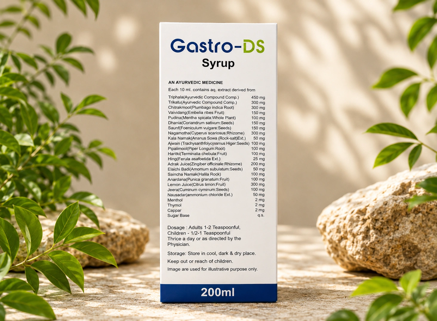 GASTRO DS – Support for Better Digestion GASTRO DS – Support for Better Digestion