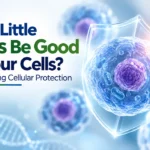 mild stress and cellular protection